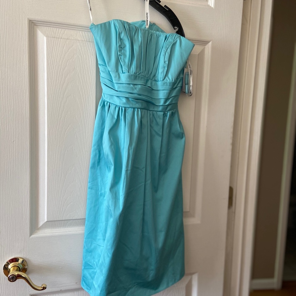 Light Blue David’s Bridal Dress